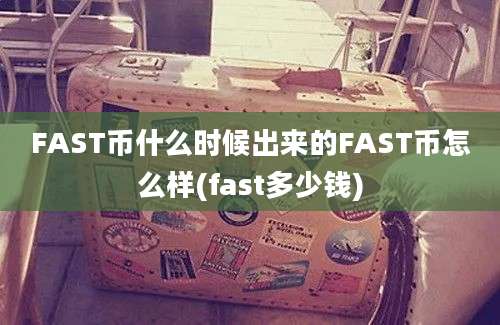 FAST币什么时候出来的FAST币怎么样(fast多少钱)