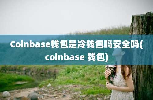 Coinbase钱包是冷钱包吗安全吗(coinbase 钱包)