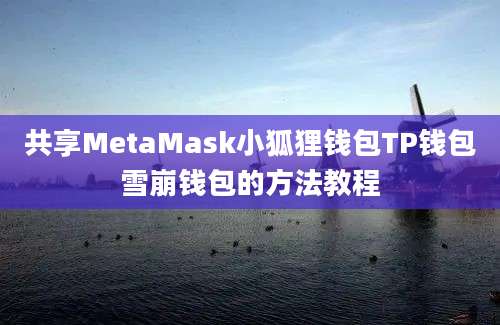 共享MetaMask小狐狸钱包TP钱包雪崩钱包的方法教程