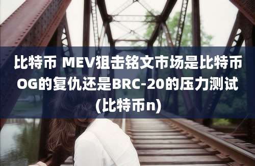 比特币 MEV狙击铭文市场是比特币OG的复仇还是BRC-20的压力测试(比特币n)