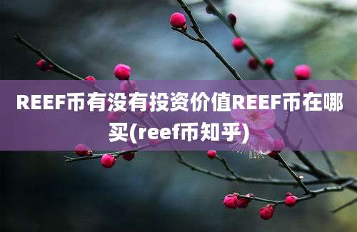 REEF币有没有投资价值REEF币在哪买(reef币知乎)