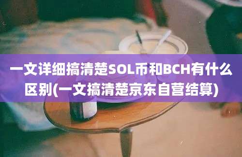 一文详细搞清楚SOL币和BCH有什么区别(一文搞清楚京东自营结算)