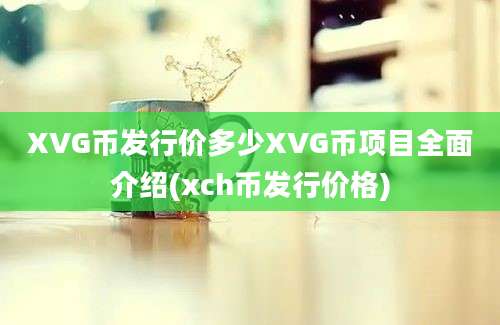 XVG币发行价多少XVG币项目全面介绍(xch币发行价格)