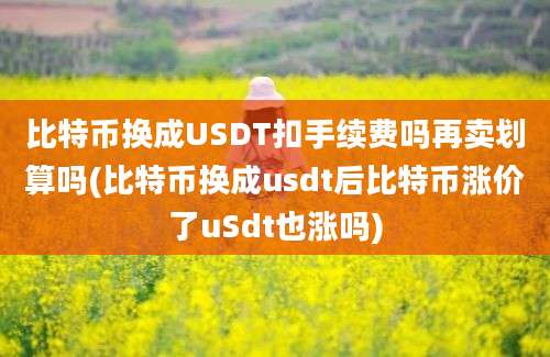 比特币换成USDT扣手续费吗再卖划算吗(比特币换成usdt后比特币涨价了uSdt也涨吗)