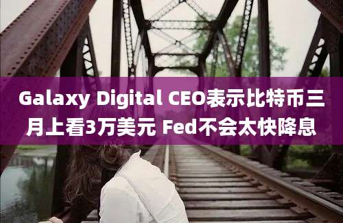 Galaxy Digital CEO表示比特币三月上看3万美元 Fed不会太快降息