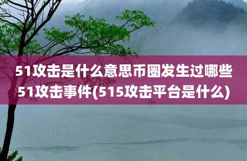 51攻击是什么意思币圈发生过哪些51攻击事件(515攻击平台是什么)