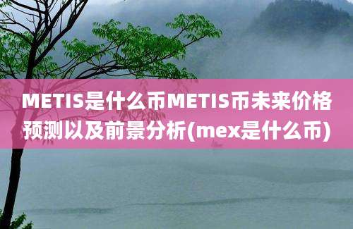 METIS是什么币METIS币未来价格预测以及前景分析(mex是什么币)