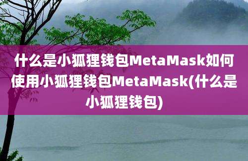 什么是小狐狸钱包MetaMask如何使用小狐狸钱包MetaMask(什么是小狐狸钱包)