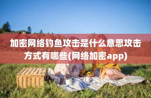 加密网络钓鱼攻击是什么意思攻击方式有哪些(网络加密app)