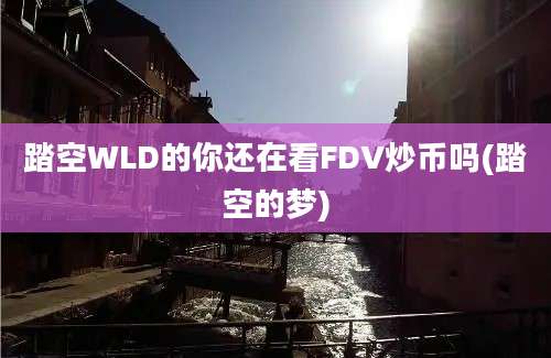 踏空WLD的你还在看FDV炒币吗(踏空的梦)