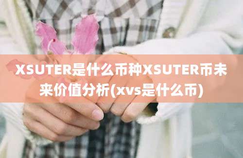 XSUTER是什么币种XSUTER币未来价值分析(xvs是什么币)