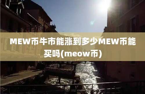 MEW币牛市能涨到多少MEW币能买吗(meow币)