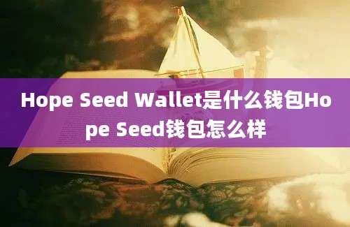 Hope Seed Wallet是什么钱包Hope Seed钱包怎么样