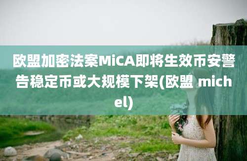 欧盟加密法案MiCA即将生效币安警告稳定币或大规模下架(欧盟 michel)