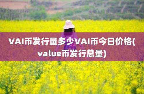 VAI币发行量多少VAI币今日价格(value币发行总量)