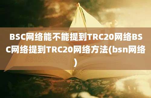 BSC网络能不能提到TRC20网络BSC网络提到TRC20网络方法(bsn网络)