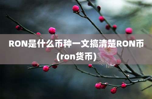 RON是什么币种一文搞清楚RON币(ron货币)