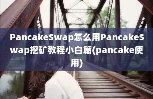 PancakeSwap怎么用PancakeSwap挖矿教程小白篇(pancake使用)