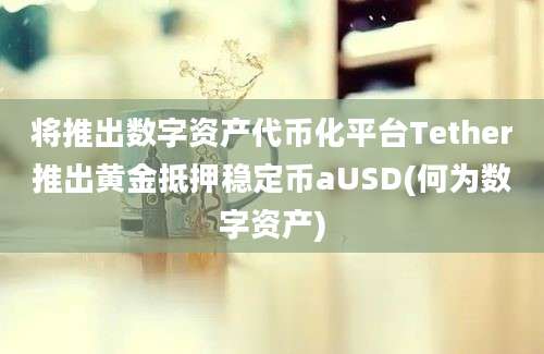 将推出数字资产代币化平台Tether推出黄金抵押稳定币aUSD(何为数字资产)