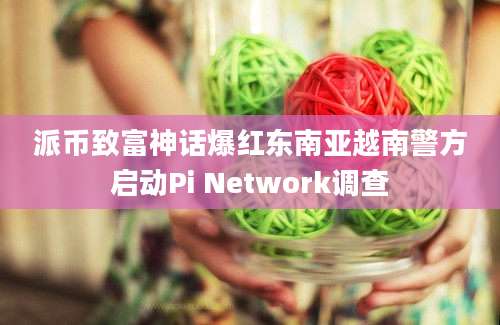 派币致富神话爆红东南亚越南警方启动Pi Network调查