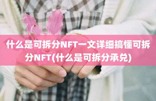 什么是可拆分NFT一文详细搞懂可拆分NFT(什么是可拆分承兑)