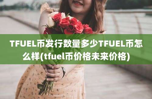 TFUEL币发行数量多少TFUEL币怎么样(tfuel币价格未来价格)