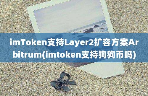 imToken支持Layer2扩容方案Arbitrum(imtoken支持狗狗币吗)