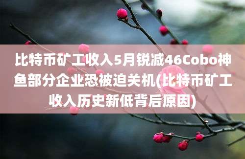 比特币矿工收入5月锐减46Cobo神鱼部分企业恐被迫关机(比特币矿工收入历史新低背后原因)