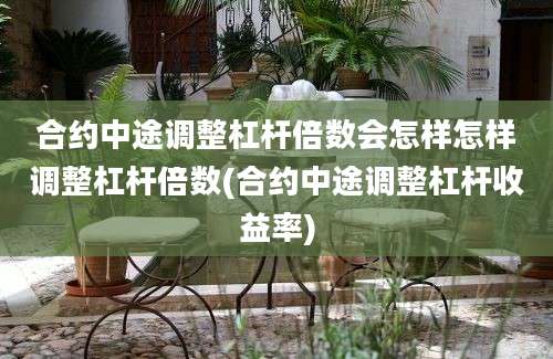 合约中途调整杠杆倍数会怎样怎样调整杠杆倍数(合约中途调整杠杆收益率)