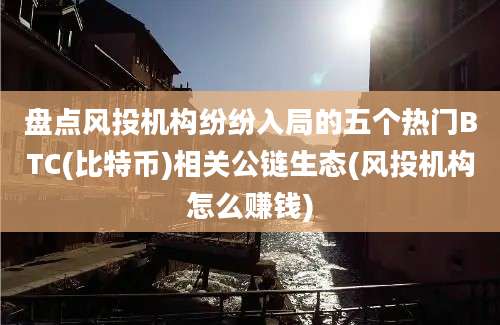 盘点风投机构纷纷入局的五个热门BTC(比特币)相关公链生态(风投机构怎么赚钱)