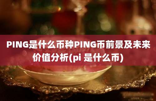 PING是什么币种PING币前景及未来价值分析(pi 是什么币)