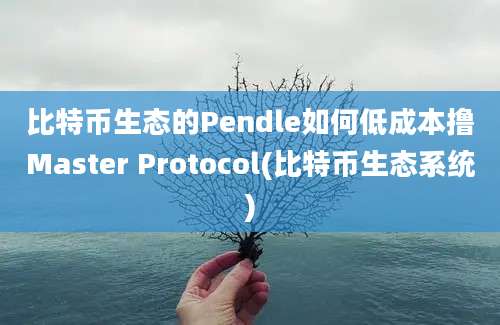 比特币生态的Pendle如何低成本撸Master Protocol(比特币生态系统)