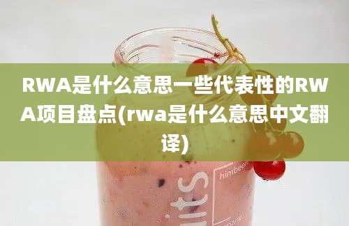 RWA是什么意思一些代表性的RWA项目盘点(rwa是什么意思中文翻译)