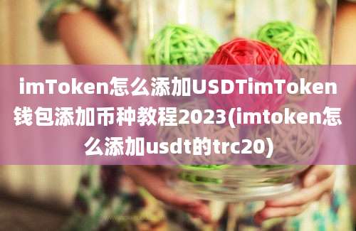 imToken怎么添加USDTimToken钱包添加币种教程2023(imtoken怎么添加usdt的trc20)