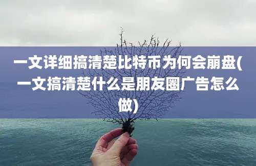 一文详细搞清楚比特币为何会崩盘(一文搞清楚什么是朋友圈广告怎么做)