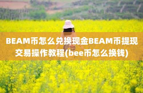 BEAM币怎么兑换现金BEAM币提现交易操作教程(bee币怎么换钱)