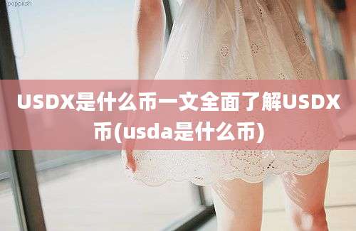 USDX是什么币一文全面了解USDX币(usda是什么币)