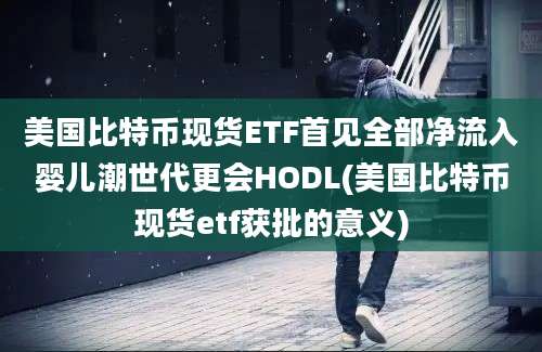 美国比特币现货ETF首见全部净流入婴儿潮世代更会HODL(美国比特币现货etf获批的意义)