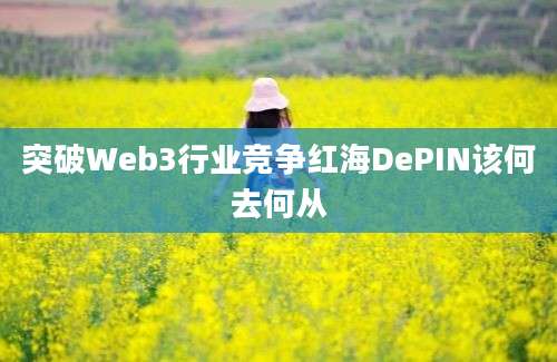 突破Web3行业竞争红海DePIN该何去何从