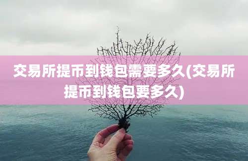 交易所提币到钱包需要多久(交易所提币到钱包要多久)