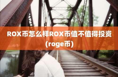 ROX币怎么样ROX币值不值得投资(roge币)