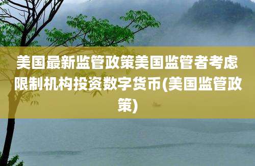 美国最新监管政策美国监管者考虑限制机构投资数字货币(美国监管政策)