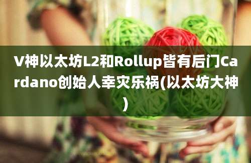 V神以太坊L2和Rollup皆有后门Cardano创始人幸灾乐祸(以太坊大神)