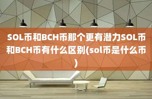 SOL币和BCH币那个更有潜力SOL币和BCH币有什么区别(sol币是什么币)