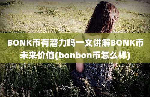 BONK币有潜力吗一文讲解BONK币未来价值(bonbon币怎么样)