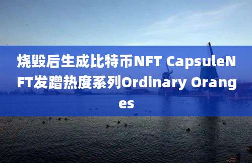 烧毁后生成比特币NFT CapsuleNFT发蹭热度系列Ordinary Oranges