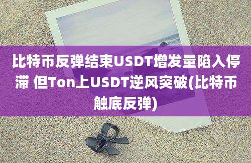 比特币反弹结束USDT增发量陷入停滞 但Ton上USDT逆风突破(比特币触底反弹)