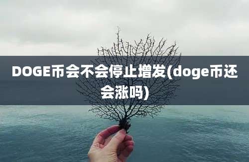 DOGE币会不会停止增发(doge币还会涨吗)