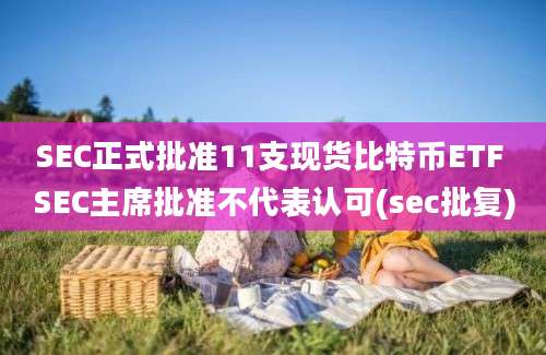 SEC正式批准11支现货比特币ETF SEC主席批准不代表认可(sec批复)