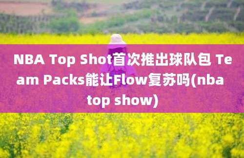 NBA Top Shot首次推出球队包 Team Packs能让Flow复苏吗(nba top show)